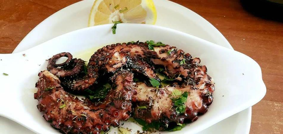 Freshly caught octopus